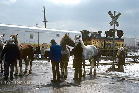 Ringling Bros. and Barnum & Bailey Circus Train