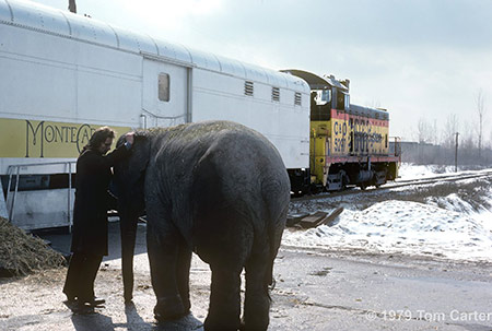 Ringling Bros. and Barnum & Bailey Circus Train