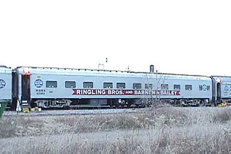 Ringling Bros. and Barnum & Bailey Circus Train