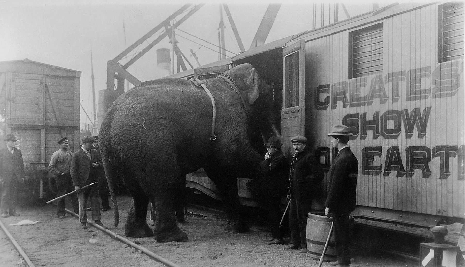 The Last Great Circus Train - Ringling Bros. and Barnum & Bailey 2017