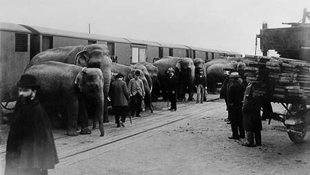 Ringling Bros. and Barnum & Bailey Circus Train